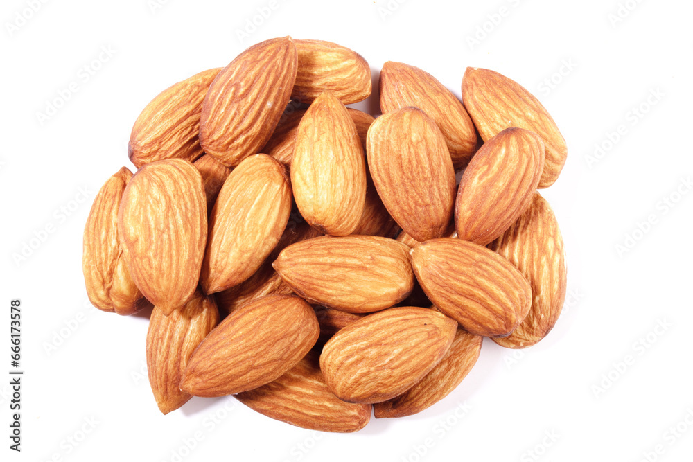 almond on white background badam almond on white background badam