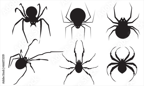 Set of black silhouette spider icon. Use for printing, posters, T-shirts, textile drawing, print pattern. photo