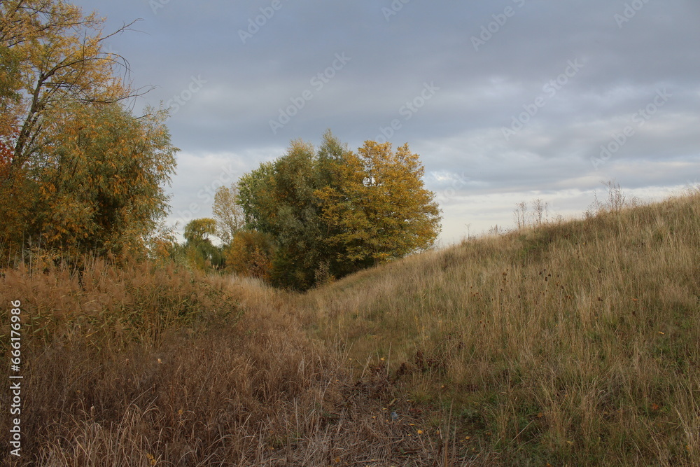 A grassy field with trees A grassy field with trees