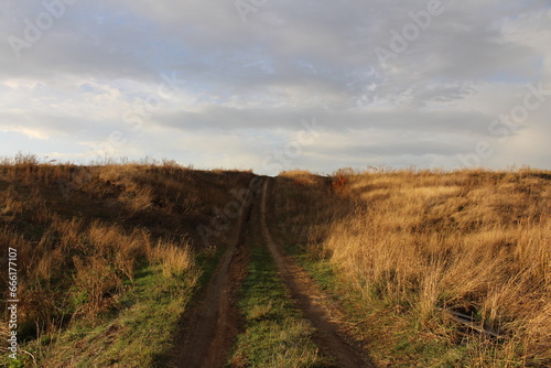 A dirt road through a field © parpalac