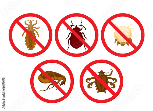 No Lice And Bug Insect Symbol Set Cartoon illustration Vector