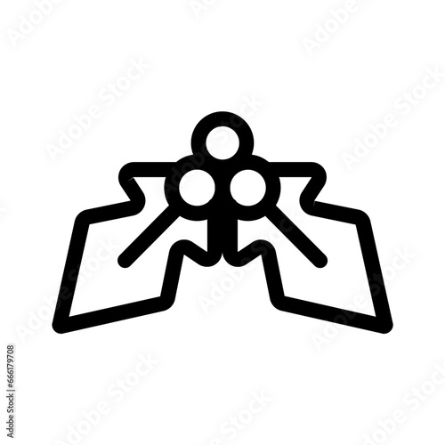 Holly Berries icon
