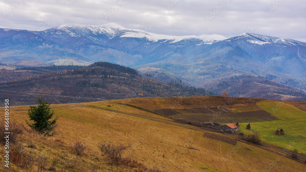 rural landscape of ukrainian carpathians. mountainous countryside scenery in late autumn. distant mountain range with snow capped tops beneath a cloudy sky
