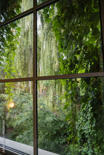 Beautiful green view outside the window - a dense garden with thickets of trees and bushes - idyllic view and silence