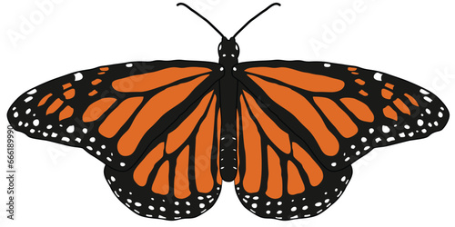 Monarch Butterfly - a vector drawing with vibrant ornate wings, reminiscent of the grace and beauty of this butterfly. The drawing is fully disassembled for simple animation.