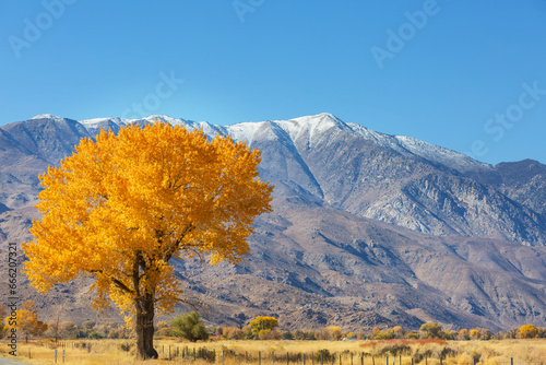 Autumn in Sierra Nevada