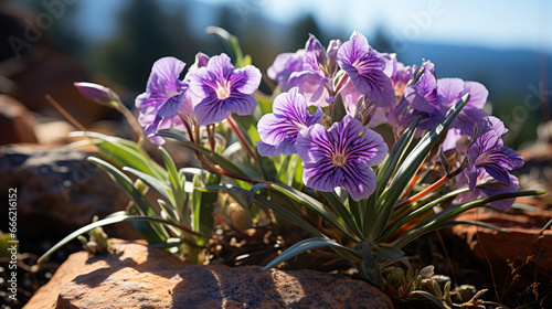 Spiderwort Magic: Tradescantia ohiensis Enchants Nature - Generative AI photo