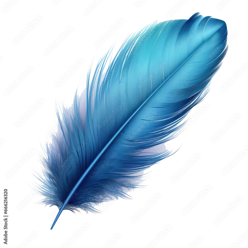 Blue bird feather on transparent background. - obrazy, fototapety, plakaty 