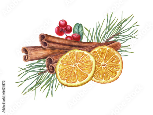 Dried ripe orange slices, cinnamon sticks, red lingonberries with leaves, pine sprig. Winter composition of aromatic spices. Watercolor illustration for packaging design, postcard
