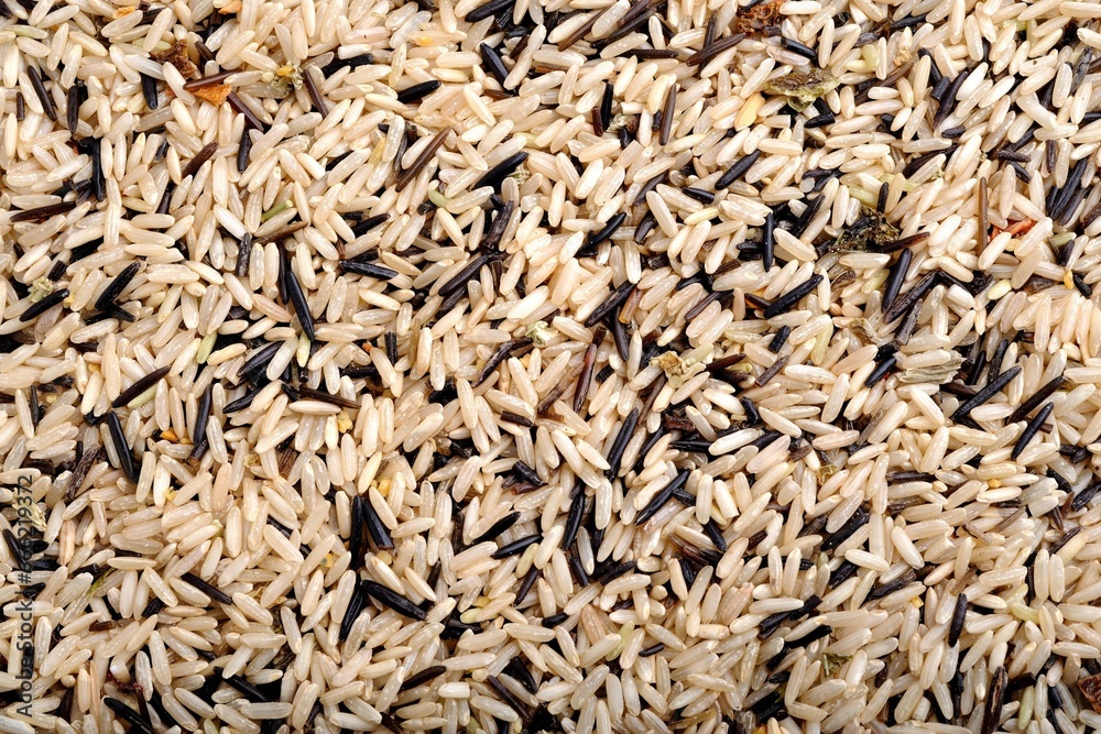 4K Background: Diverse Varieties of Wild Rice, a Natural Palette 4K Background: Diverse Varieties of Wild Rice, a Natural Palette