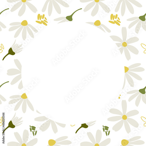 Template with White daisy, chamomile flowers. Vector illustration set. Cute round flower head plant nature collection. Decoration element with space for text. Flat design for cards, packaging.