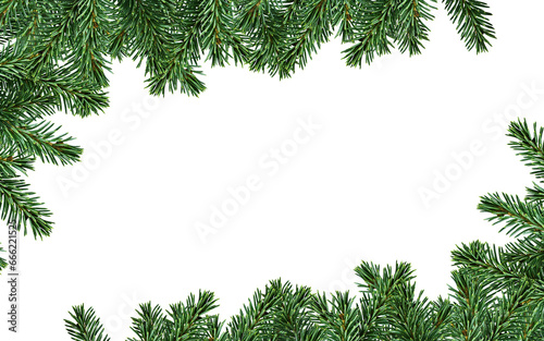 Christmas wreath , garland or pine tree background 