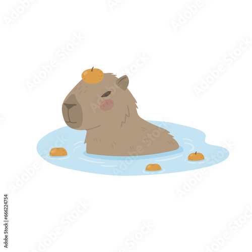 Cute capybara resting in the water with oranges, Yuzu. Large rodent from South America