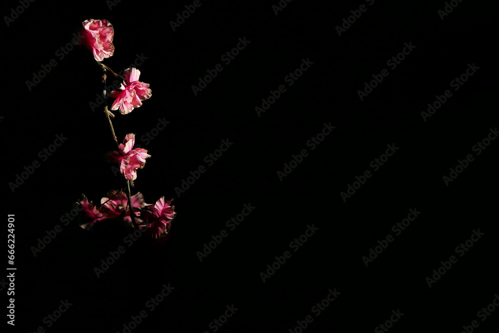 artificial pink flowers on a black background. Still life photography with low key. Women's day,mother's day,valentine's day artificial pink flowers on a black background. Still life photography with low key. Women's day,mother's day,valentine's day
