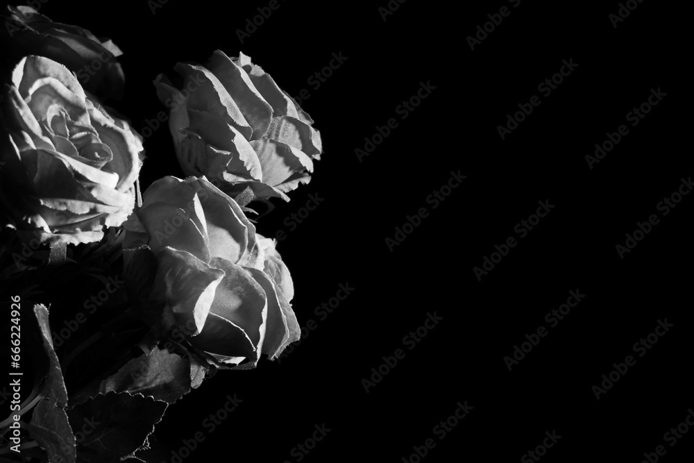 Black and white artificial roses on a dark background. Still life photography with low key