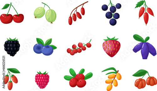 Cartoon wild garden berries. Gooseberries, strawberries and blueberries and blackberries. Harvest agriculture berry, sweet desserts nowaday vector set