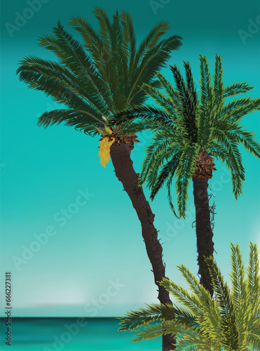 Fototapeta Naklejka Na Ścianę i Meble -  two palm green trees on cyan sky background