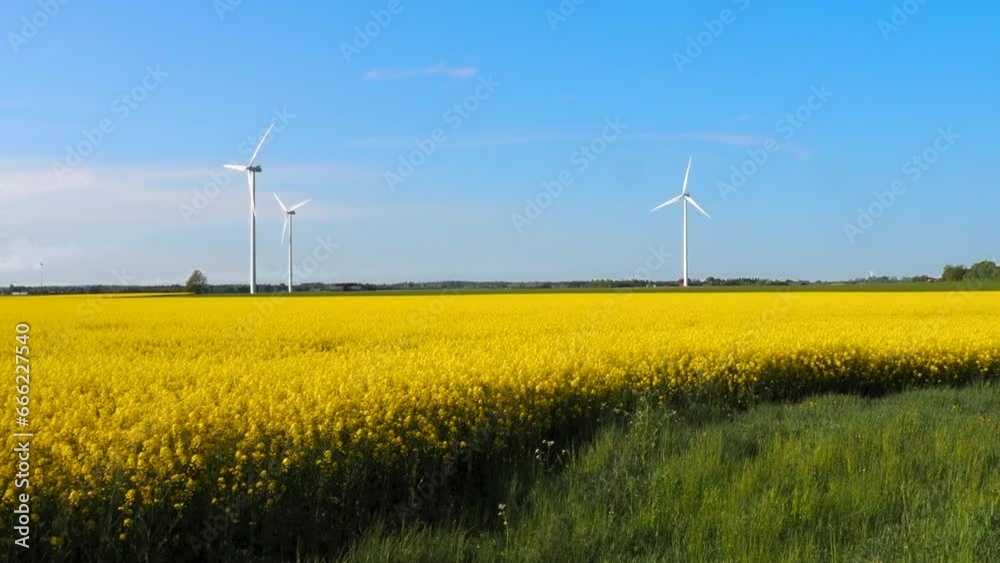 Swedish landscape with yellow rape field and aeolians. Swedish landscape with yellow rape field and aeolians.