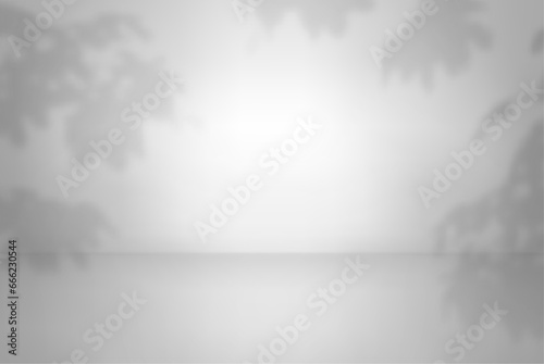 Grey color studio background with shadow. Abstract empty room with soft light for product. Simple gray backdrop. Line horizon. Gradient white background. Blank wall and floor. Vector illustration