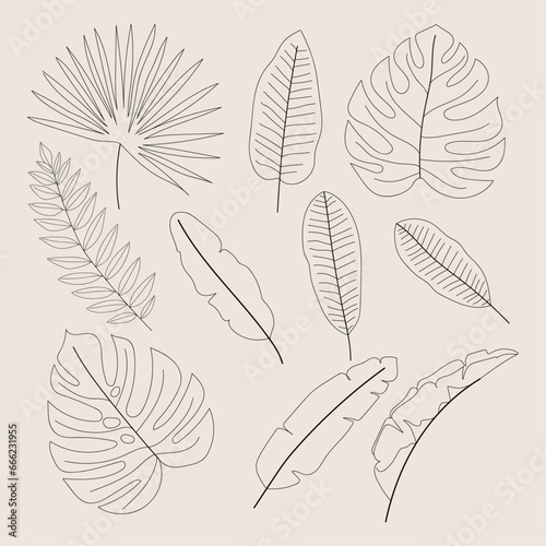 "A collection of trendy greenery hand-drawn black ink sketches, featuring a set of tiny wild flowers and plants, is available as vector botanical illustrations. 