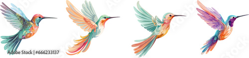 Cute abstract hummingbirds. Isolated hummingbird flying, cartoon pastel colors exotic birds with wings and plumage, vector characters