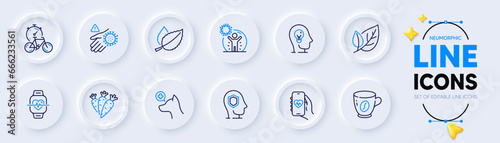 Coffee, Carrots and Veterinary clinic line icons for web app. Pack of Coronavirus protection, Mint leaves, Psychology pictogram icons. Wash hand, Health app, Bike timer signs. Leaf. Vector