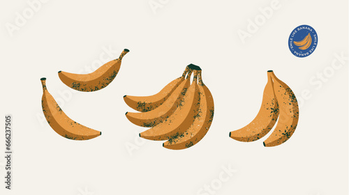 Abstract textured banana collection. Retro banana illustration. Vector illustration