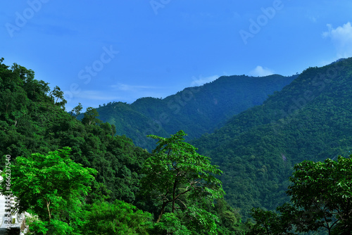 Beautiful view of tree with mountains and blue sky