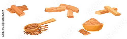 Sandalwood Tree Timber and Lumber Material Vector Set
