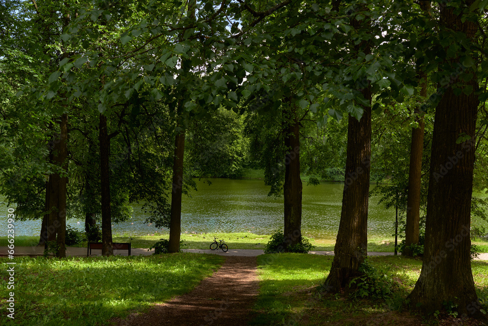 Naklejka premium Sunlit park with pine trees. Beautiful path to the river through the dark forest. Bicycle on the trail along the river.