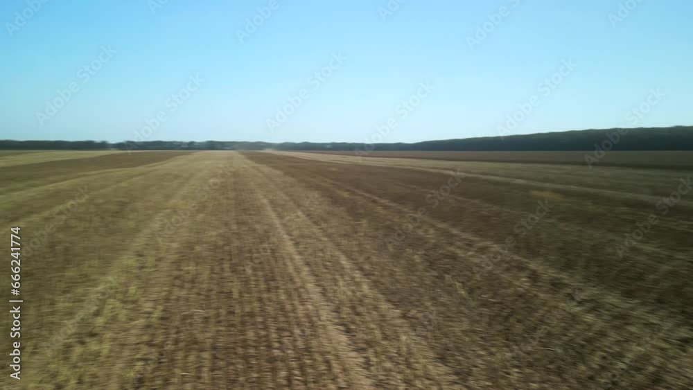Sunflower field aerial view in Ukraine Sunflower field aerial view in Ukraine
