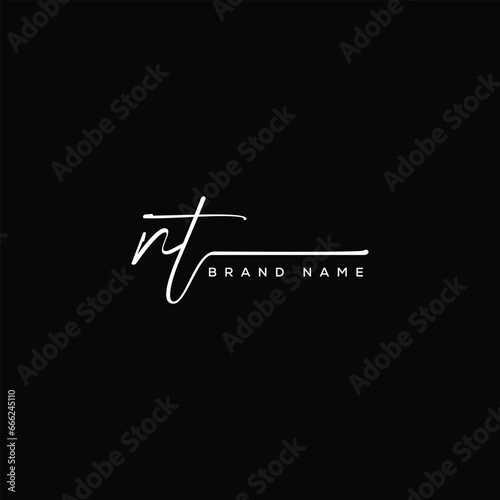 NT letter beauty handwriting vector logo. 