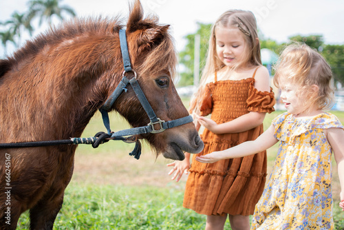 Two little girls feeding a pony. Farm and kids. Fall fun activities for children at the farm. Feeding farm animals. 