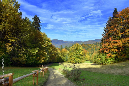 Pieniny, góry, jesień, park, Małopolska, Polska, szlak turystyczny, drzewa, kolorowe