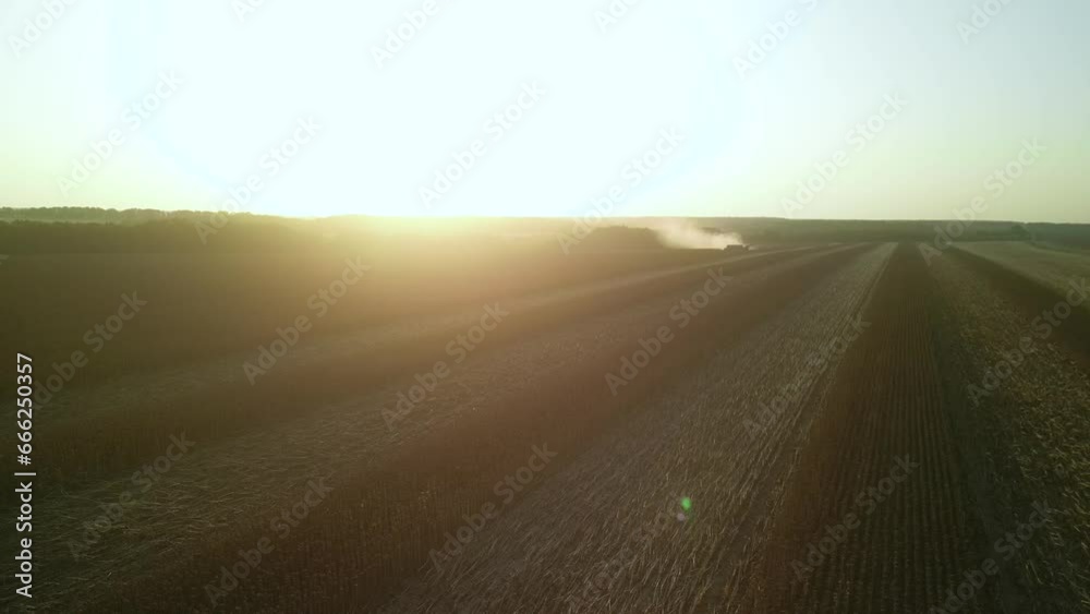Sunflower field aerial view in Ukraine Sunflower field aerial view in Ukraine