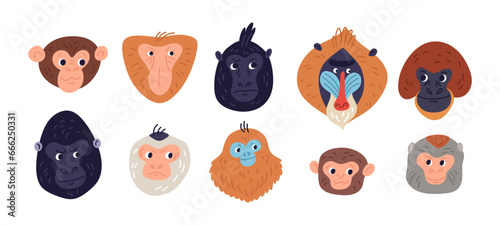 Cartoon monkeys heads. Different breeds funny primates. Exotic animals muzzles. Gorilla and gibbon. Wild mammals. Chimpanzee portraits. Orangutan and baboon face. Garish vector set