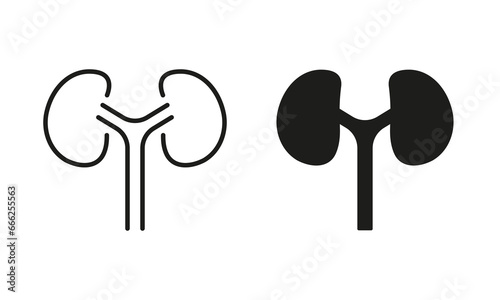 Kidneys Urology Disease, Dialysis Medical Treatment Symbol Collection. Human Kidney Line and Silhouette Icon Set. Anatomy of Renal Organ Pictogram. Isolated Vector Illustration