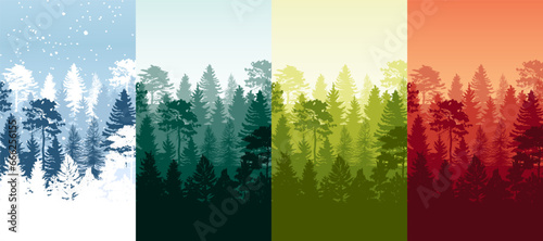Forest of Christmas fir trees silhouette. Park of evergreen wood. Christmas banner template.