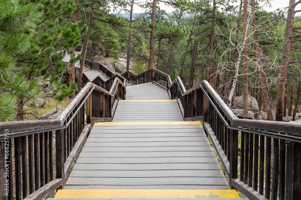 Fototapeta premium Looking Down at a Steep Curving Staircase in a Forest