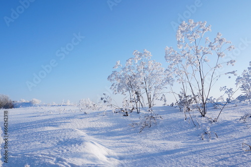 Snowdrifts in the countryside.Frosty winter damp atmosphere. © Ruslan
