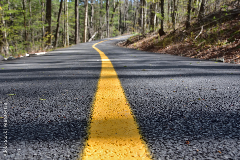 Cycling path low perspective. Yellow line leading to infinity. Bikeway with new asphalt and fresh paint job. Cycling path low perspective. Yellow line leading to infinity. Bikeway with new asphalt and fresh paint job.