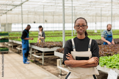 African american ranch manager leading horticulture team of farmers growing locally chemical free food crops. Sustainable eco friendly agriculture in certified organic greenhouse