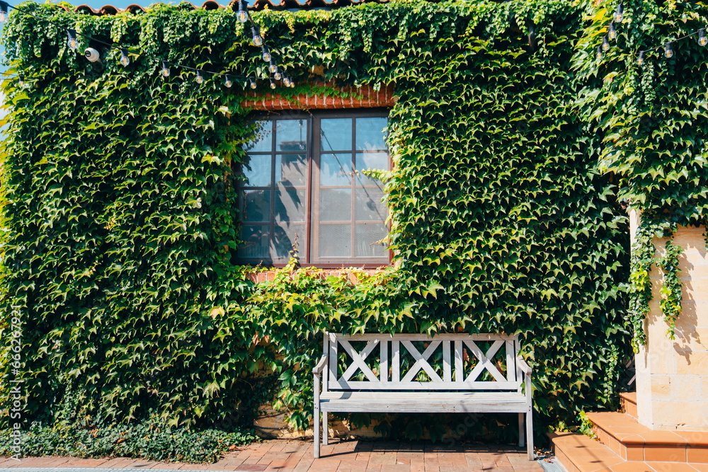 bench by the beautiful country house braided with ivy bench by the beautiful country house braided with ivy