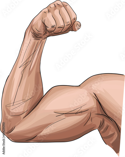 Close-up of a power fitness man's hand. Muscular bodybuilder flexing and showing his biceps - internal side