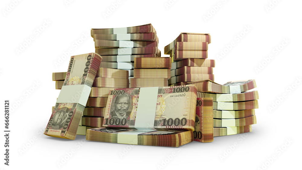 Stacks of South Sudanese pound notes. A lot of money isolated on transparent background. 3d rendering of bundles of cash Stacks of South Sudanese pound notes. A lot of money isolated on transparent background. 3d rendering of bundles of cash