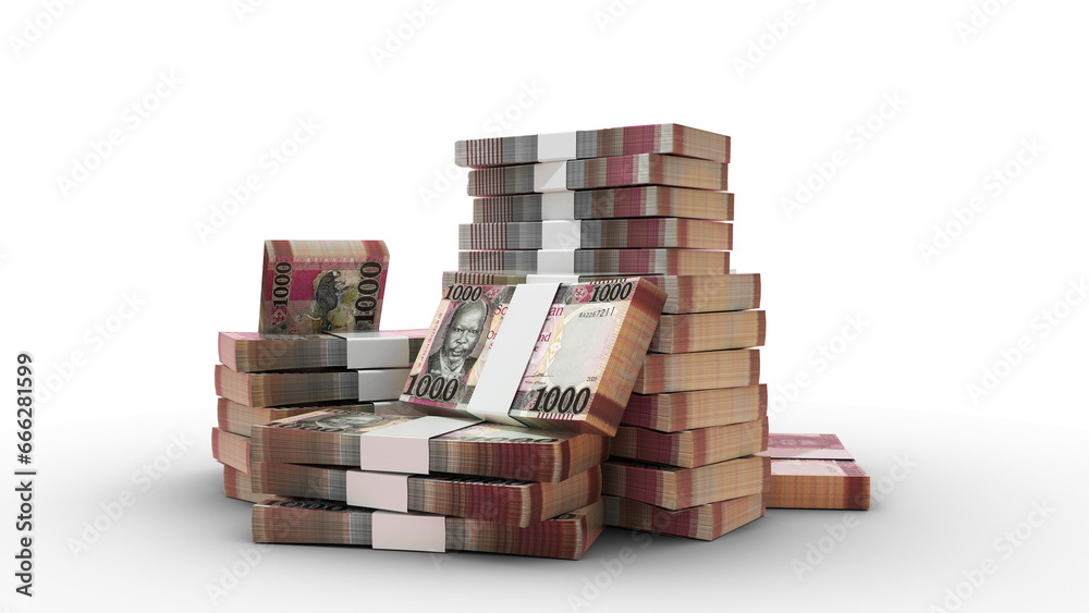 3d rendering of Stack of 1000 South Sudanese pound notes. bundles of South Sudanese currency notes isolated on transparent background 3d rendering of Stack of 1000 South Sudanese pound notes. bundles of South Sudanese currency notes isolated on transparent background