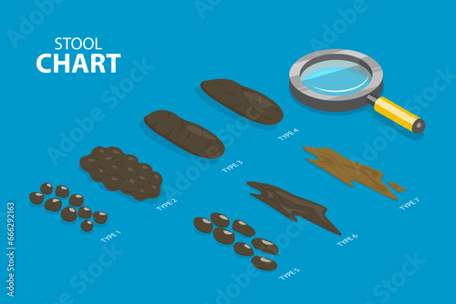 3D Isometric Flat Vector Illustration of Bristol Stool Chart, Faeces Type Images and Description