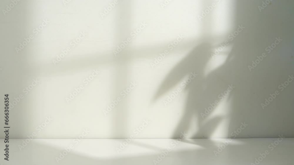 natural window and leaf shadow