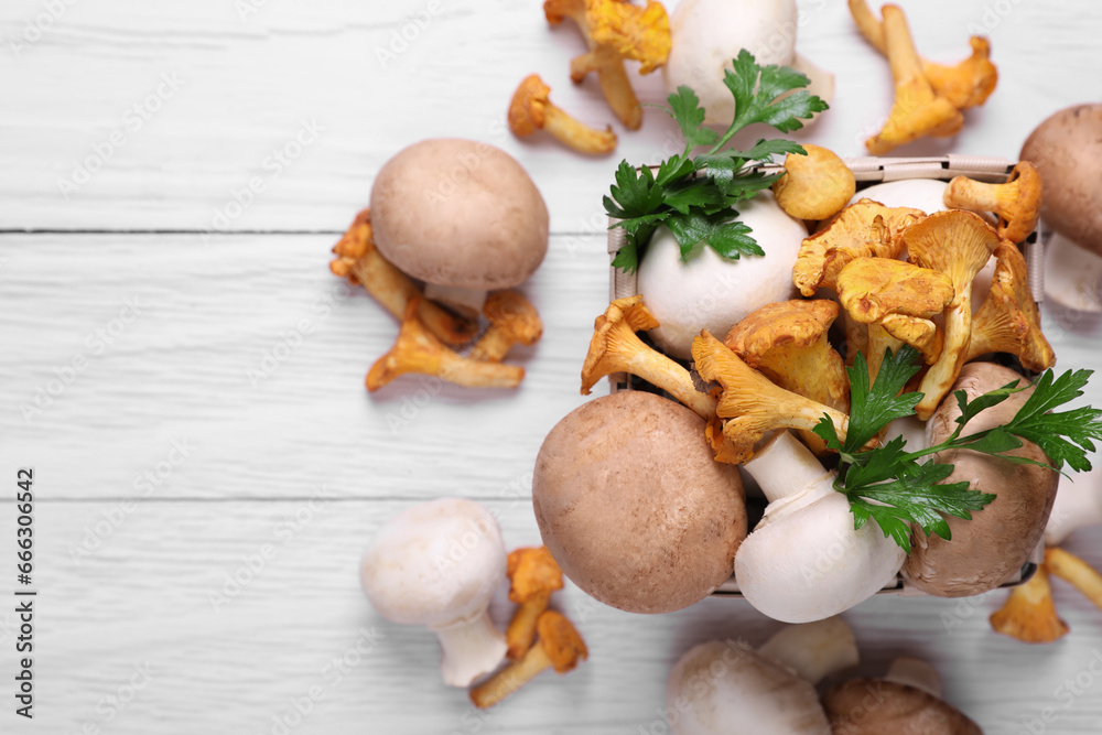 Basket with different mushrooms and parsley on white wooden table, flat lay. Space for text Basket with different mushrooms and parsley on white wooden table, flat lay. Space for text
