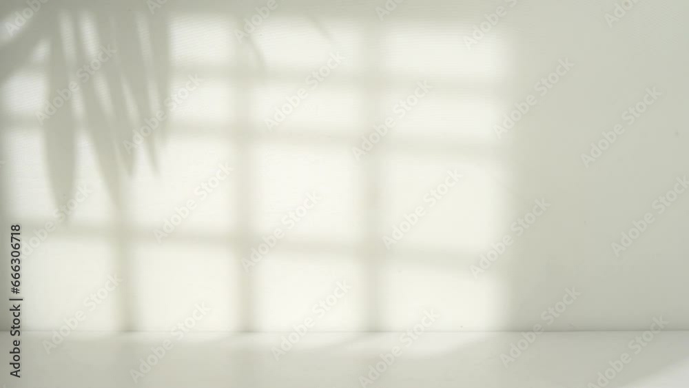 minimalist room with window shadow background